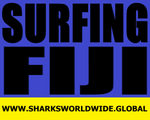 L SFBL FIJI F/R T