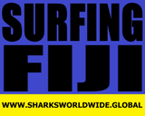 L SFBL FIJI F/R T