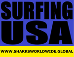 L SFBL USA F/R T