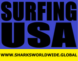 L SFBL USA F/R T