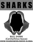 GR SRS J BULL SHARK M