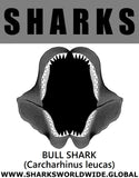 GR SRS J BULL SHARK M