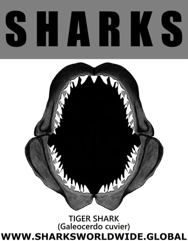 GR SRS J TIGER SHARK C