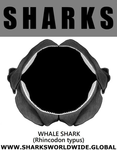 GR SRS J WHALE S C