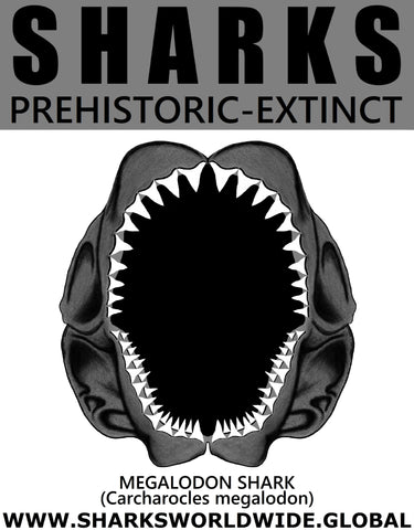 GR SSPX J MEGALODON M