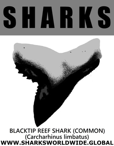 GR SRS T BLACKTIPR C M