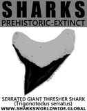 GR SSPX T SG THRESH M