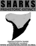 GR SSPX T SNAG CURV M