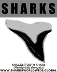 GR SRS T SNAGGLE V1 M