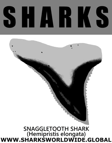 GR SRS T SNAGGLE V1 M