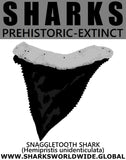GR SSPX T SNAG UNI M