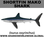 SSP SHORTFIN C
