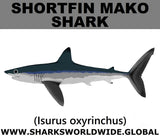 SSP SHORTFIN C