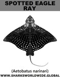 SPOTTED EAGLE RAY T