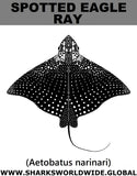 SPOTTED EAGLE RAY T