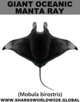 GIANT MANTA RAY T