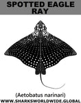 S EAGLE RAY M