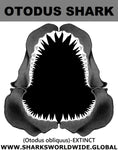 GR OTODUS J C