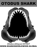 GR OTODUS J C