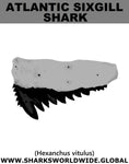 GR ATLANTIC SIXGILL T M