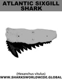 GR ATLANTIC SIXGILL T M