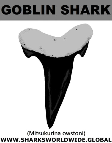 GR GOBLIN SHARK T M