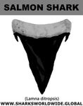 GR SALMON SHARK T M