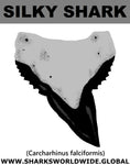 GR SILKY SHARK T M