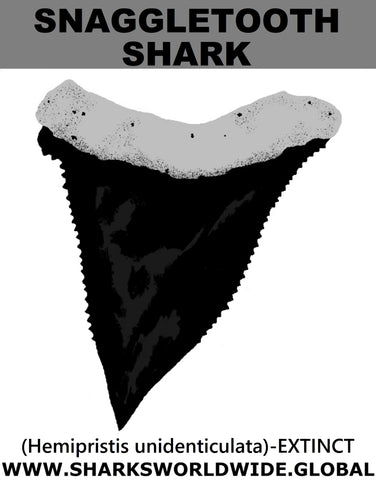 GR SNAG UNI T M