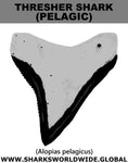 GR THRESH PELAGIC T M