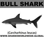 SSP BULL SHARK C