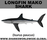 SSP LONGFIN C