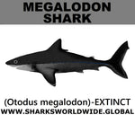 SSP MEGALODON C