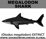 SSP MEGALODON C