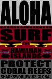 ARED SURF M