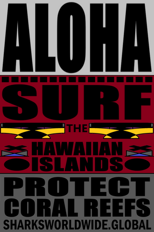 ARED SURF M