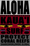 ARED KAUAI T