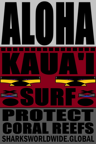 ARED KAUAI T