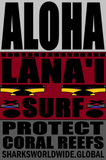 ARED LANAI M