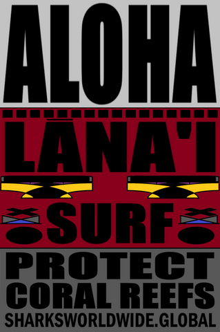 ARED LANAI M