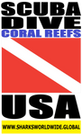 SDCR USA RL V2 T