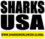 L SHARKS USA V2 T