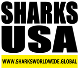 L SHARKS USA V2 T