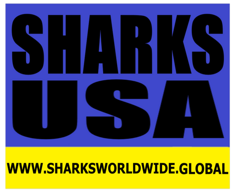 L SHBLUE USA T