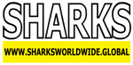 L SHARKS BIG V4 M