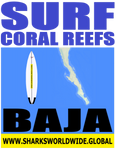3 SFCR BAJA F/R T