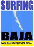 8 SFNG BAJA S