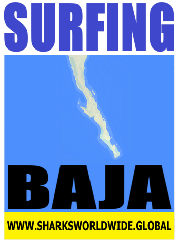 8 SFNG BAJA S