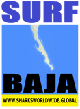8 SURF BAJA S