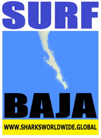 8 SURF BAJA S